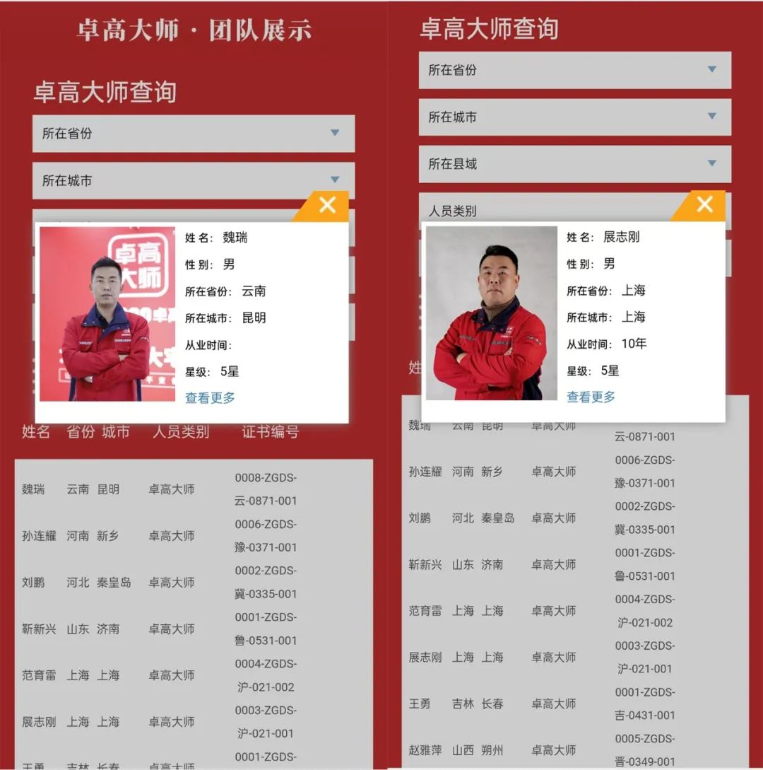 卓高大師查詢端口